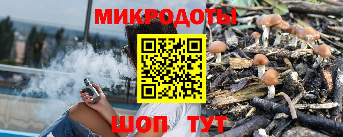 Псилоцибиновые грибы ЛСД  Вход с VPN  Гатчина 