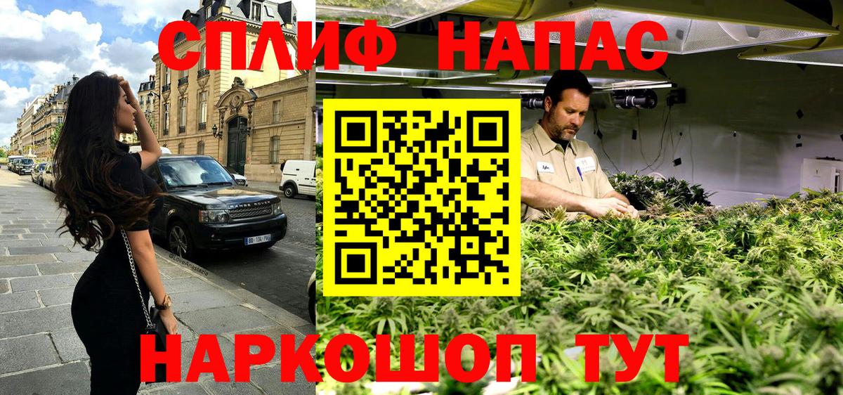 Конопля конопля Гатчина